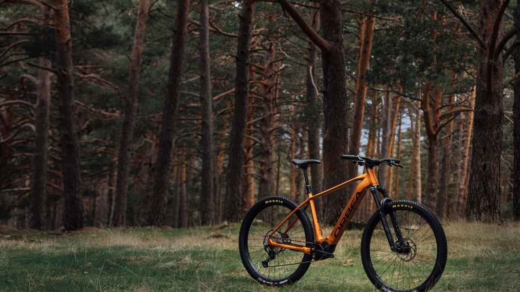 Lightweight and affordable: lightweight e-bike hardtail from Spain