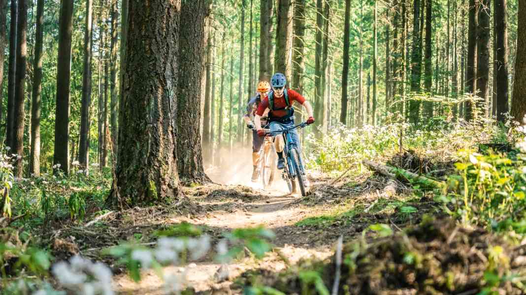 Mountainbiken in Freisen im Saarland: Sharkfins am Füsselberg