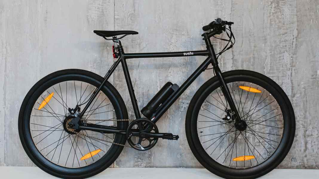 Sushi Bike test: What can an e-bike for €1,000 do?