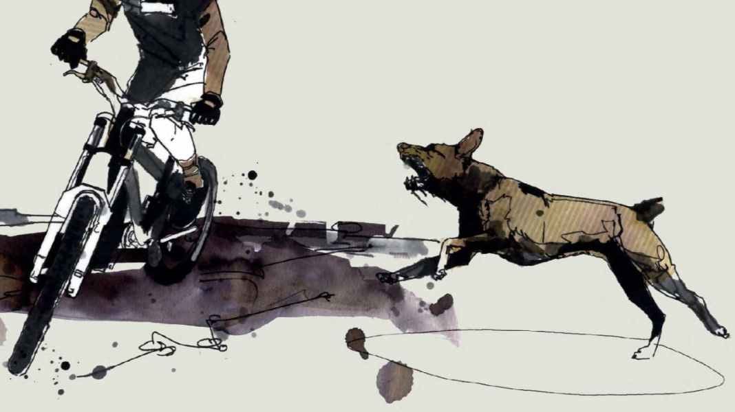 Bikers and wild animals - Part 3: What you should be aware of with aggressive dogs