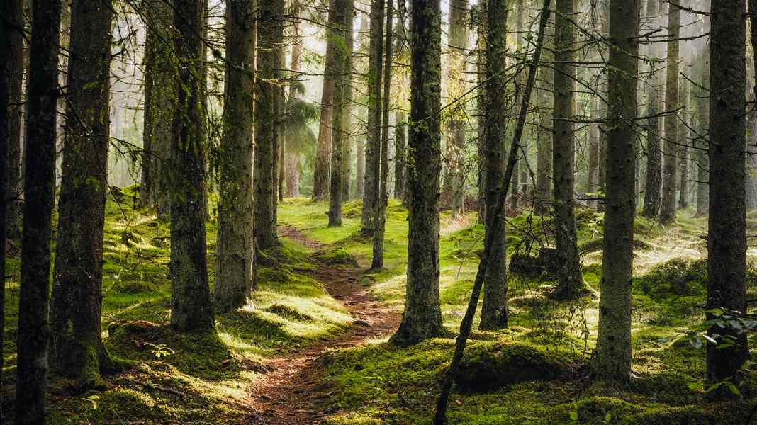 Naturschutzbund (NaBu) reagiert auf BIKE-Artikel: MTB-Einschränkungen nur eine Formulierungs-Panne?