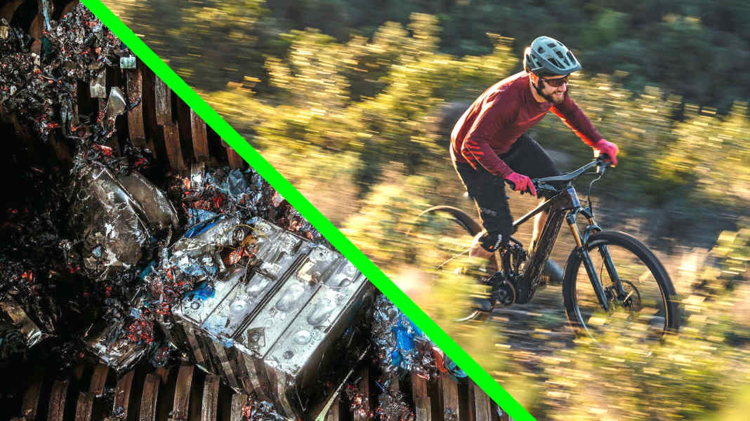Special Sustainability: How can cycling be even better for the environment?
