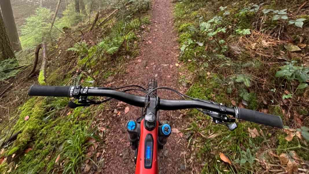Trail thoughts: My Strava lie