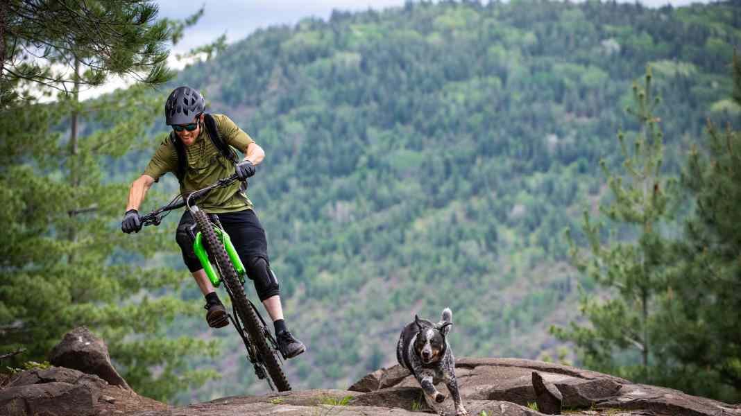Radfahren mit Hund: Keinesfalls bei Hitze – Tipps, auf was Biker mit Hunden achten müssen