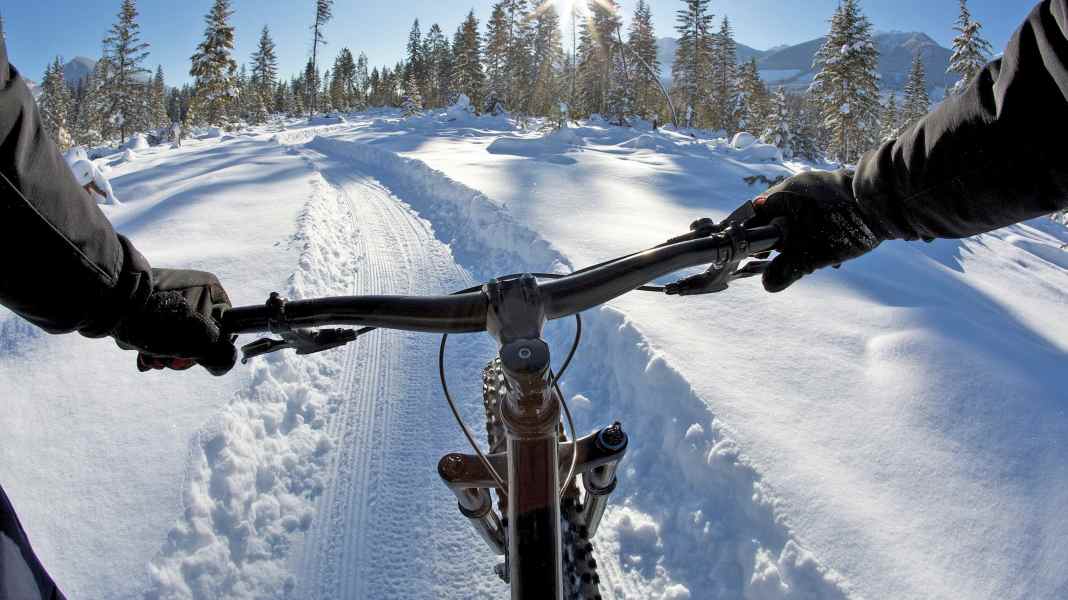 Indoor or outdoor training: the cold burns calories