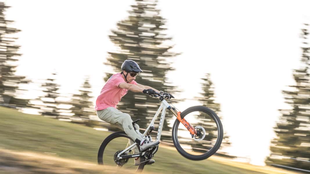 Schnapper im Februar: Diese drei Bio-Bikes solltet ihr auf dem Schirm haben