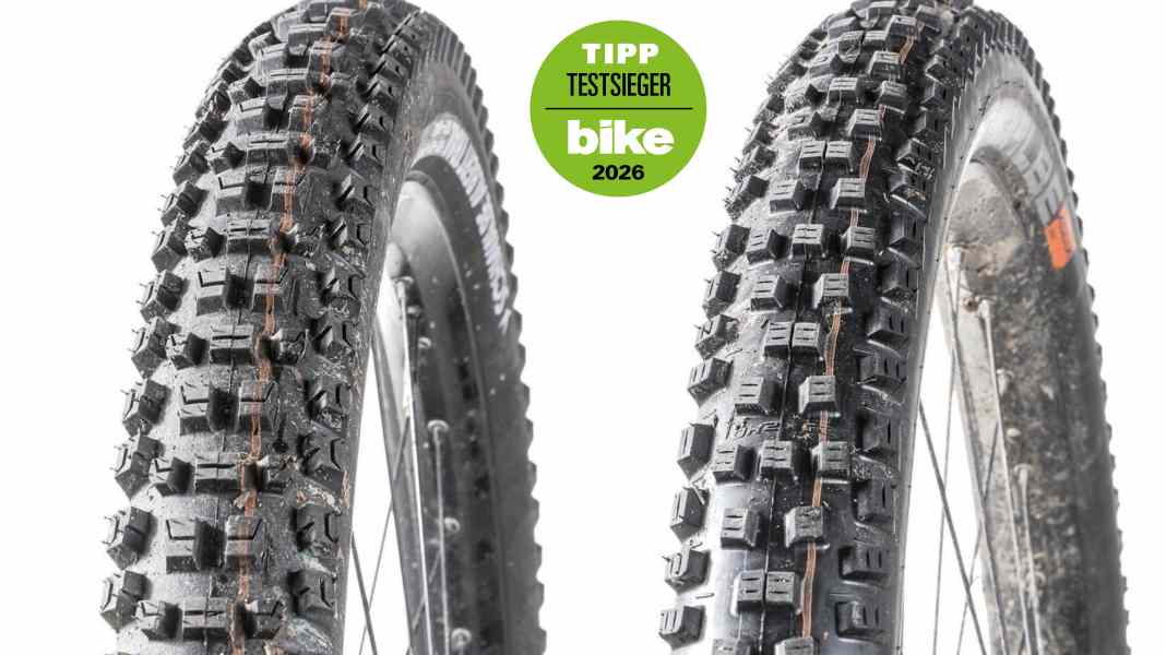 Trail-Reifen im Test: Testsieg für Schwalbe Albert und Nobby Nic?