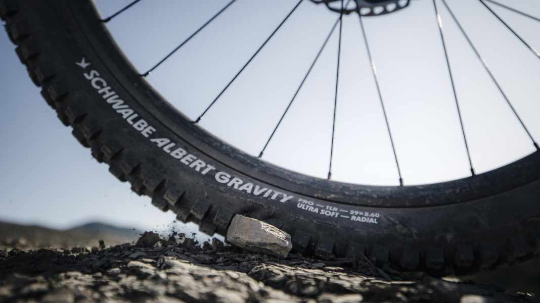 8e porte du calendrier de l'Avent : Albert met le monde du VTT sens dessus dessous
