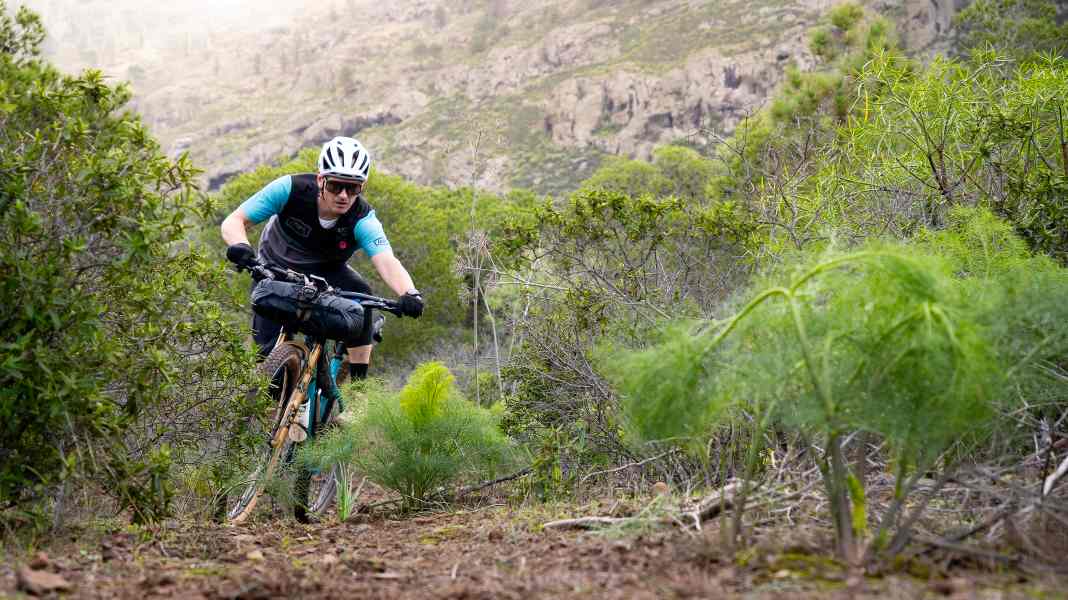 Cycling with luggage: how this affects handling and inertia
