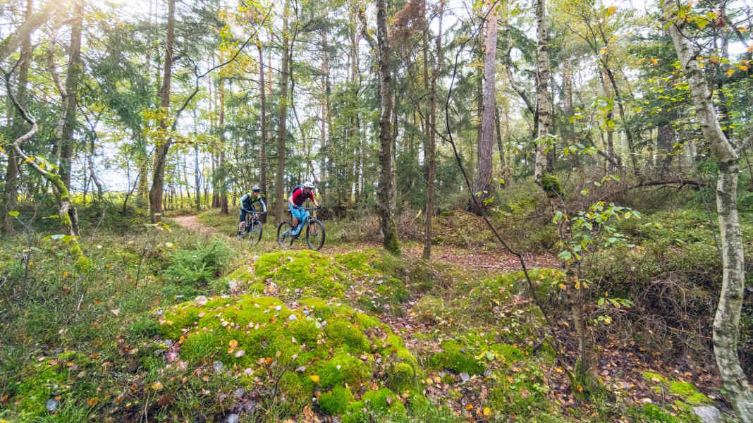 Trans-Bayerwald on the Pandurensteig: GPS data for the 3-day Trans-Bayerwald