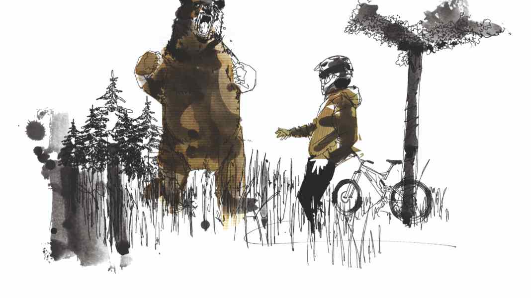 Bikers and bears: Stay cool or get eaten?