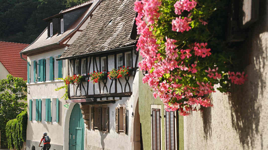 266 Kilometer Radrunde durch die Pfalz