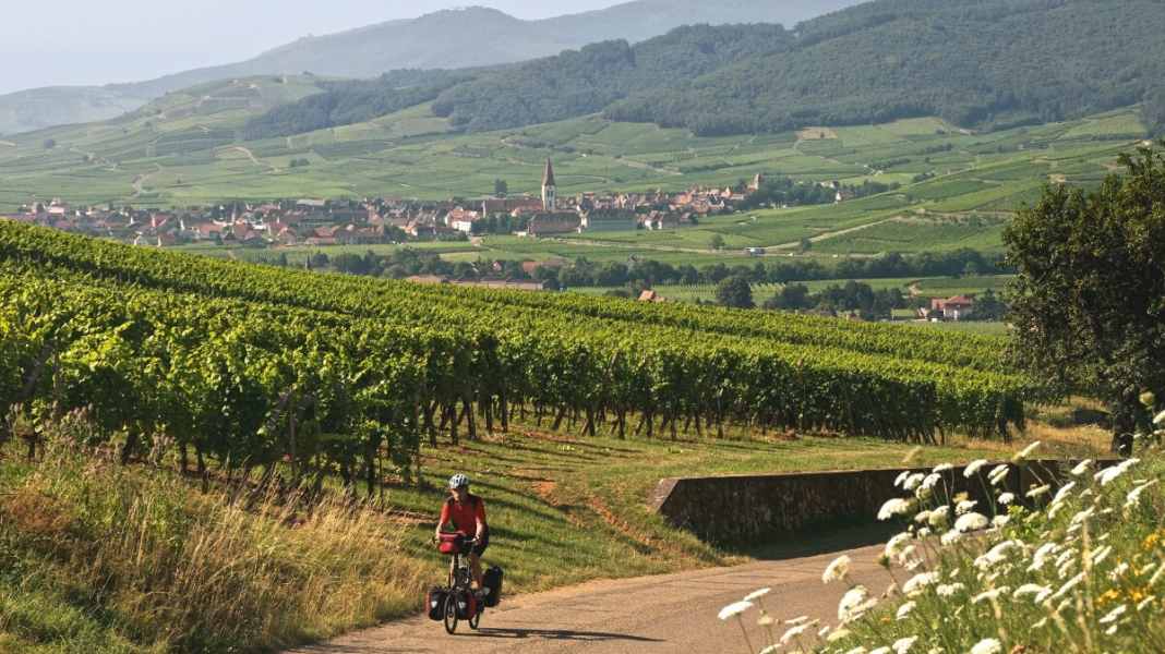 530 Kilometer durch Fachwerk und Weinland