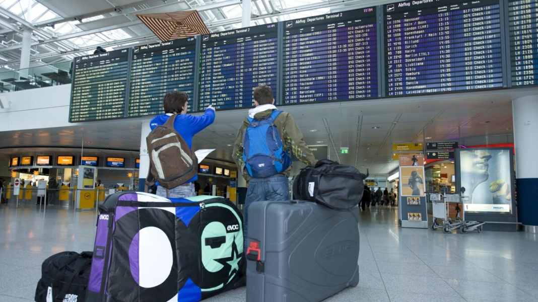 Transport bags and cases for bikes in comparison