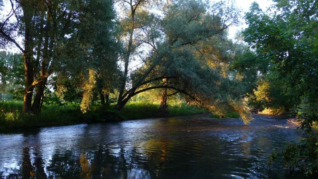 Through the idyllic river valley from Willingen to the Weser