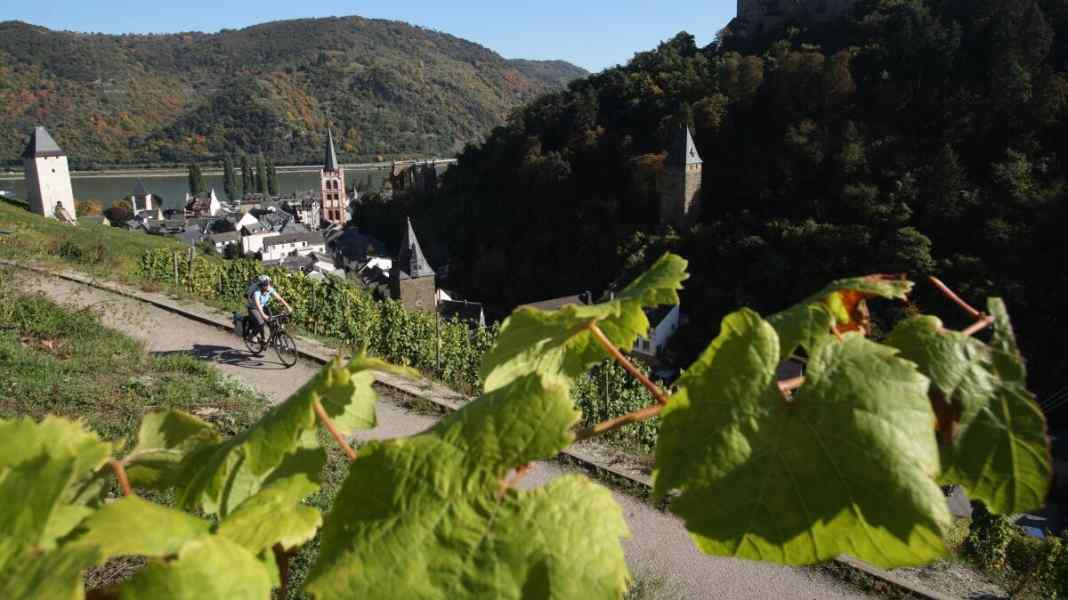 Rhine Cycle Route: 200 kilometres from Mainz to Cologne
