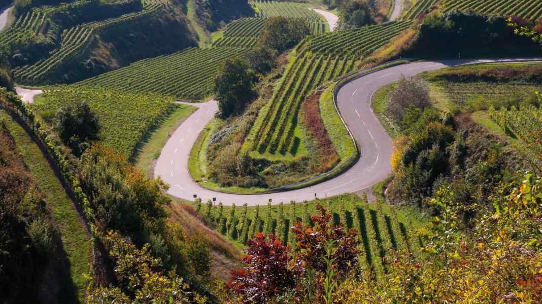Sunny cycle tours in the south-west of Baden-Württemberg