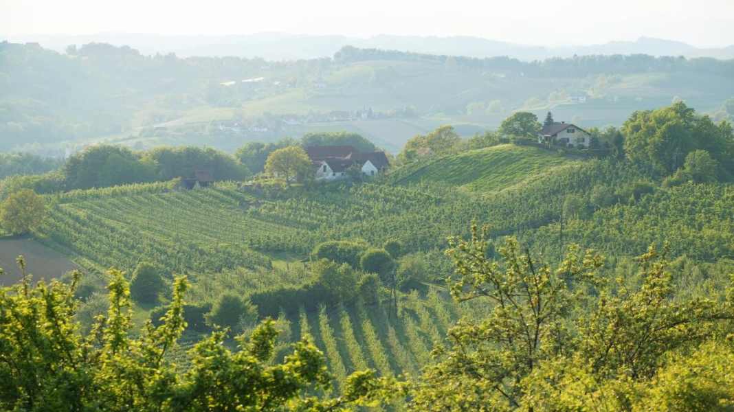 On the Kraut-und-Rüben cycle path through the Palatinate