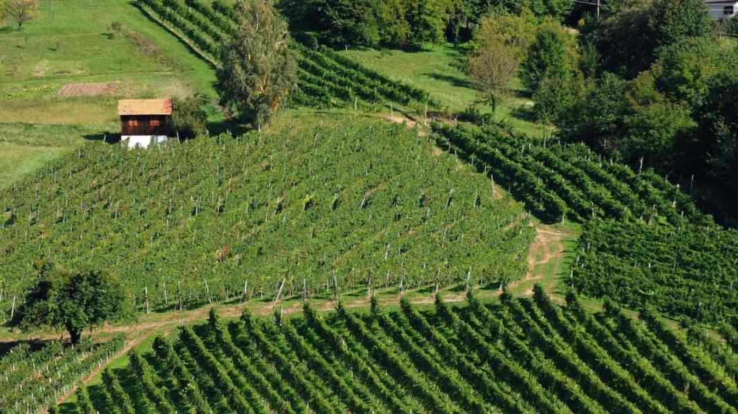 65 Kilometer durch die Steirische Toskana