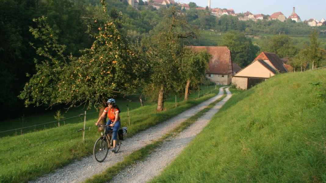 Steigerwald tour