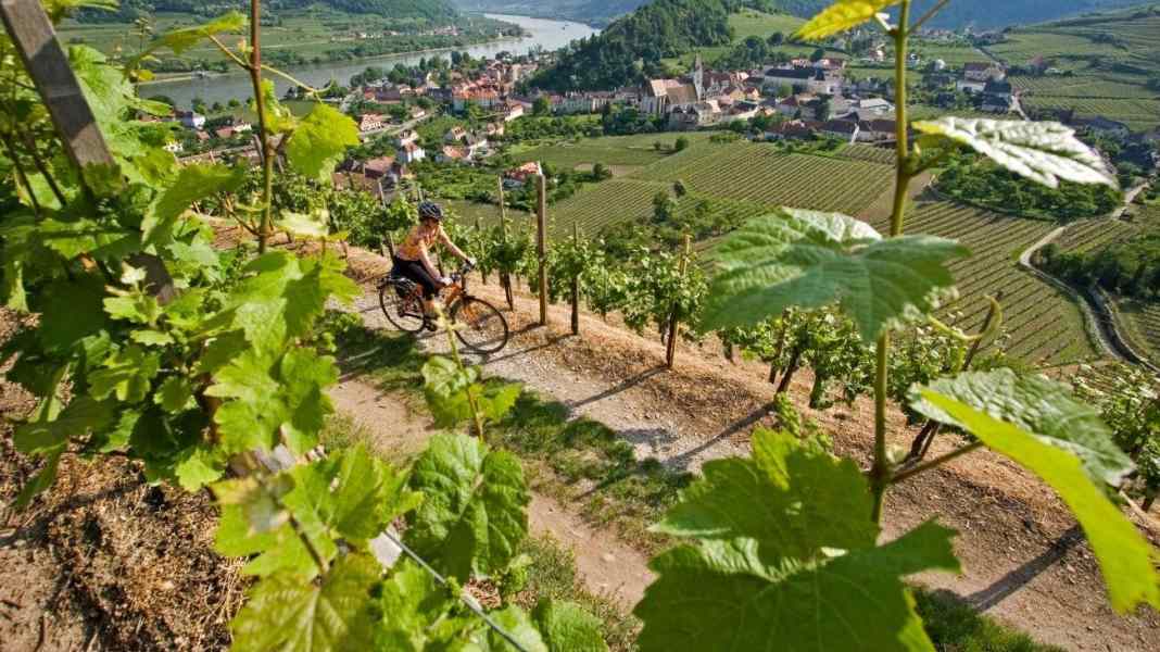 Cycle tour from Frankfurt to the Black Sea