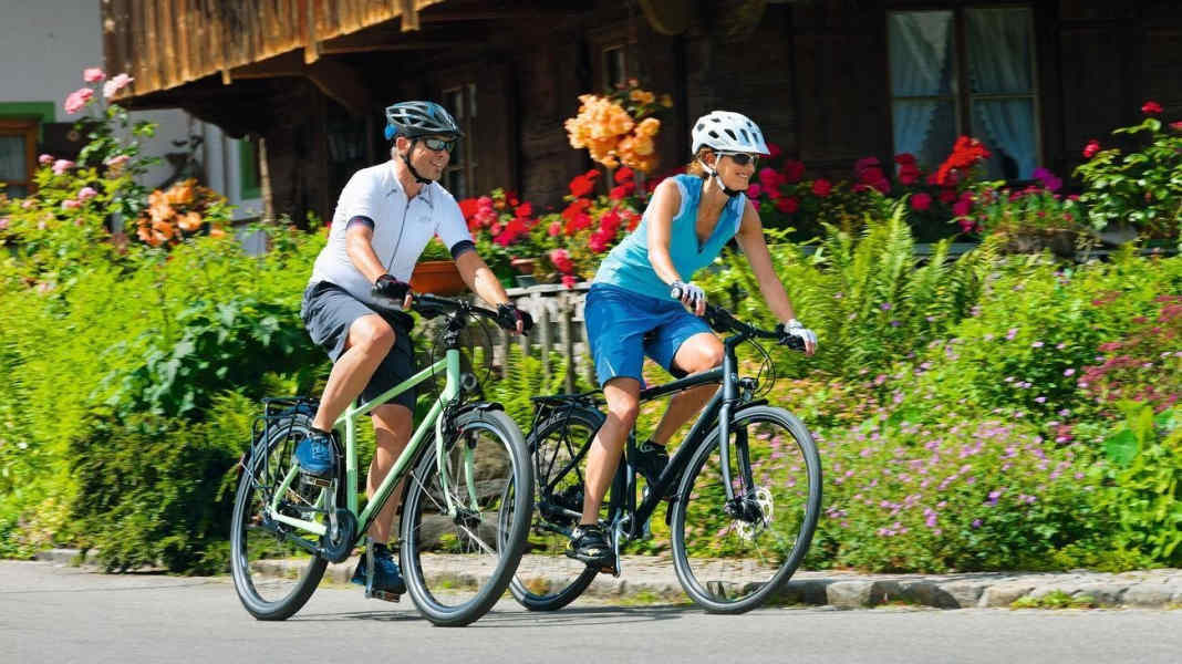 Brave workers: Alfine wheels 2016