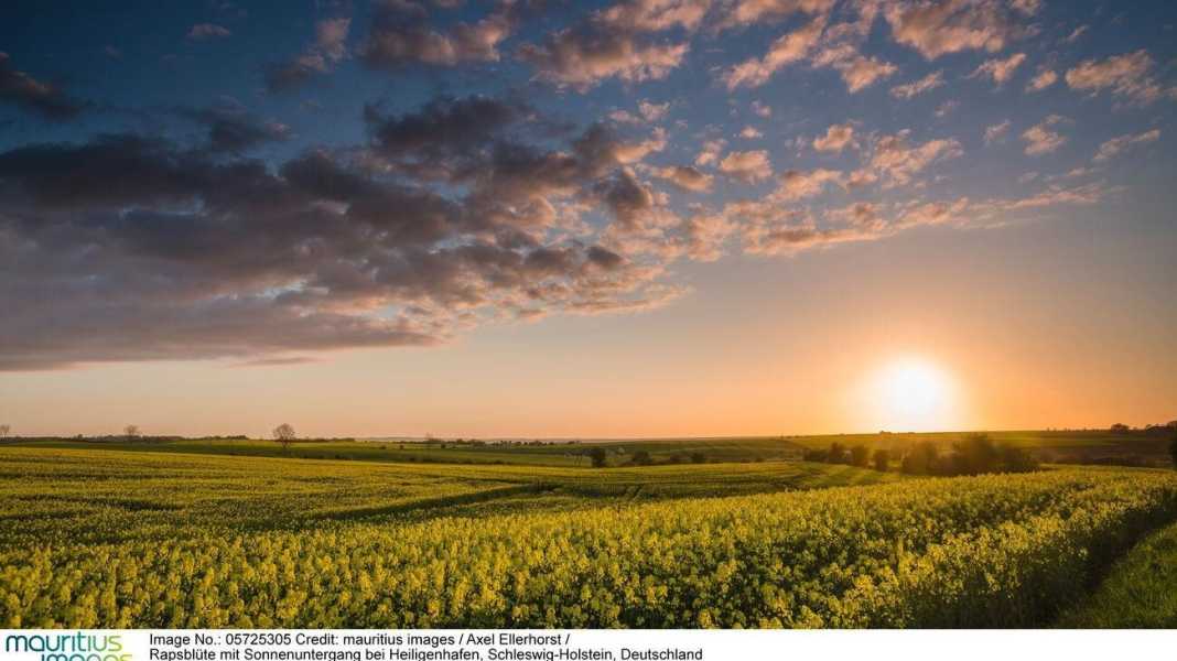 Pilgrimage route through the north of Germany