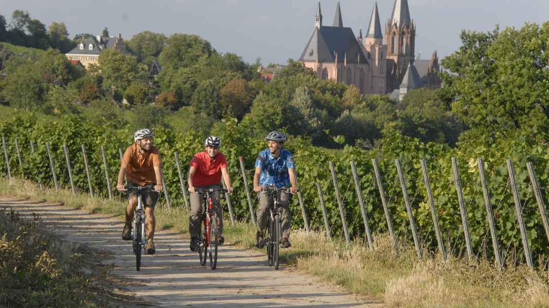 Rheinhessen: Radfahren zwischen Rhein und Reben