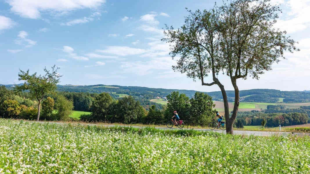 On the Paradise Route through southern Burgenland