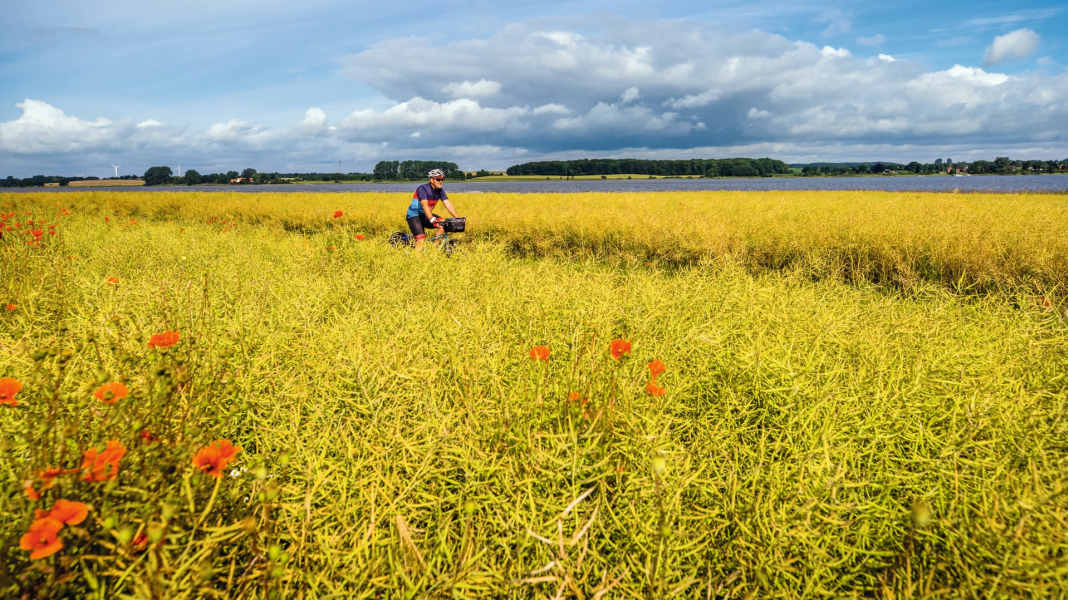 Wunderbare Schlei-Wege