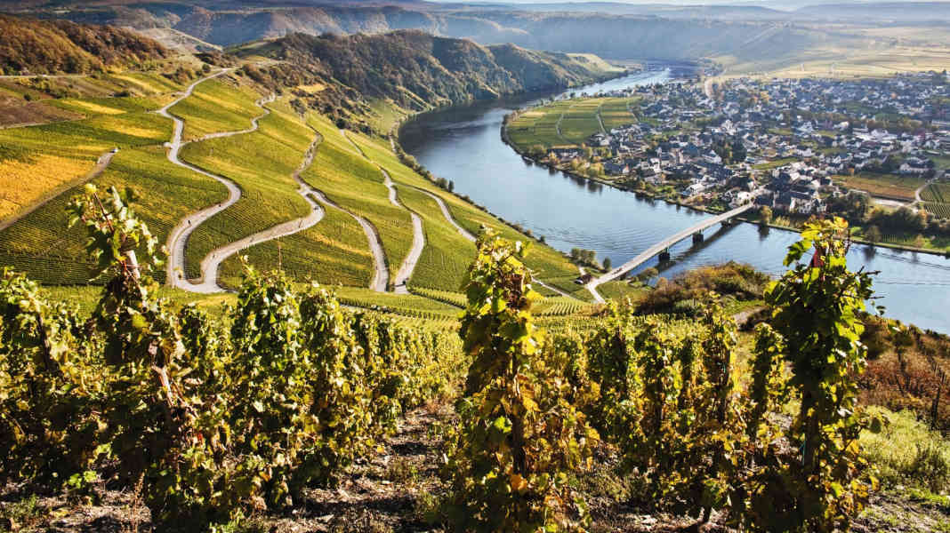 Cycling to Riesling: 7 Moselle cycle tours into the vineyards