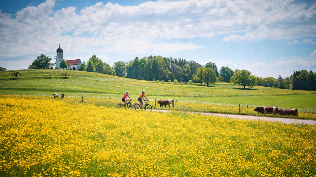 Sicher unterwegs: So vermeiden Sie Insektenstiche beim Radfahren