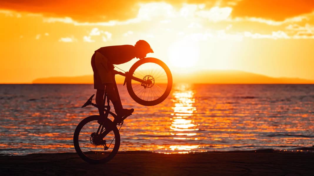 MTB tyre test: What are the best models for trail bikes?
