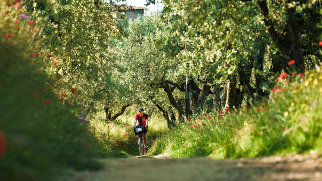 Bikepaking adventure on the Tuscany Trail - five days on a gravel bike through Tuscany