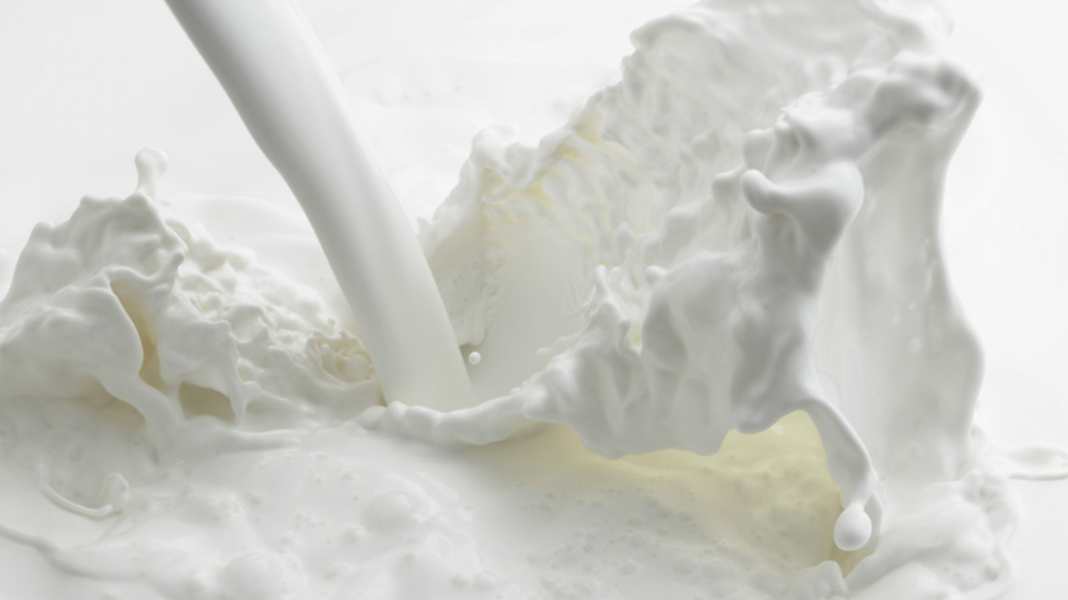Studie: Milch mach Muckis