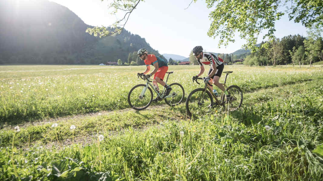 Test : six vélos de gravel bon marché à moins de 2.000 euros