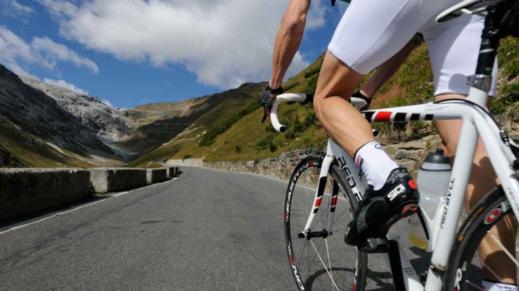 Transalp Special