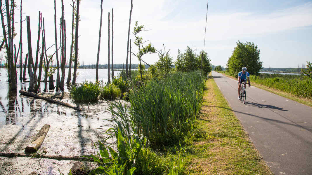 Deutschland: Mecklenburger Seenplatte - Epische Rennrad-Routen in der Mecklenburger Seenplatte