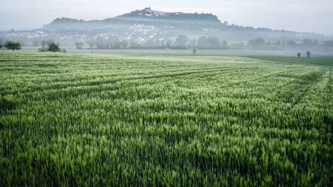 Tour Germany: Road bike tours in the Marburg region - Beautiful Central Hesse: Through Marburg's rural hinterland