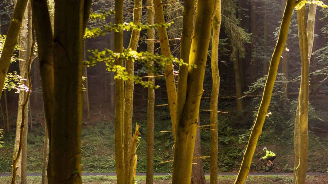 Tour à vélo de course dans la forêt de Thuringe - Trip à vélo de course sur le Rennsteig