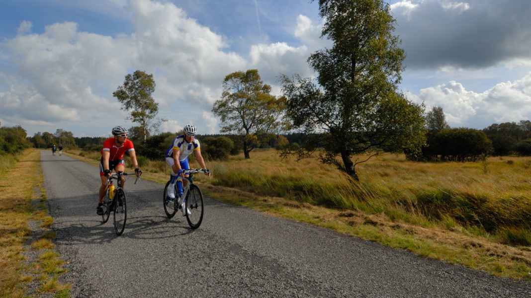 Eifel : Hautes Fagnes