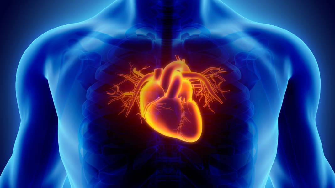 Expert interview about the athlete's heart - Heart problems: What amateur racing cyclists need to consider