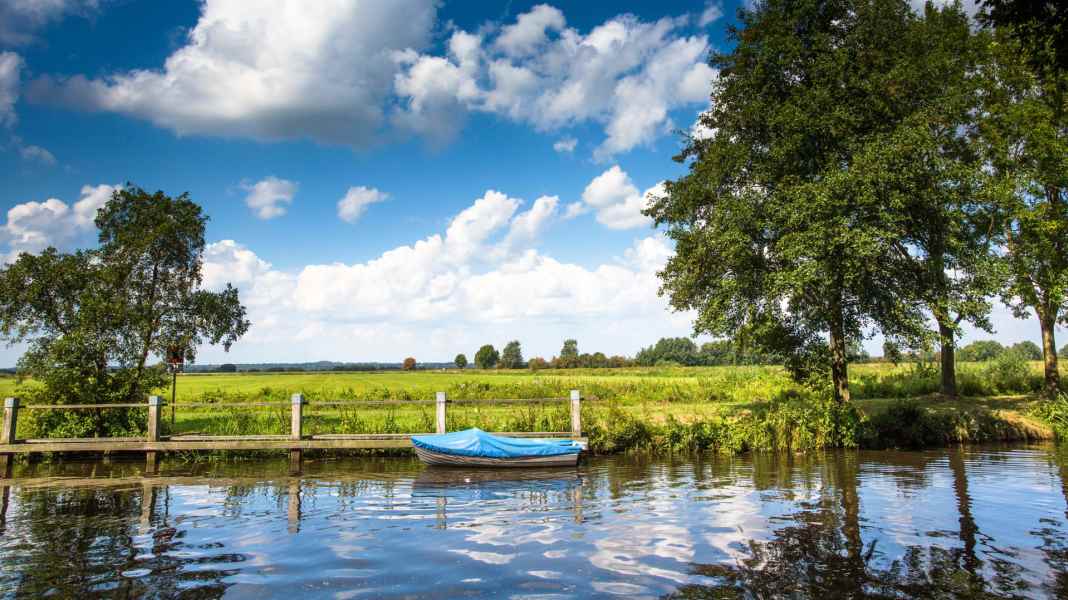 Germany: Teufelsmoor near Bremen