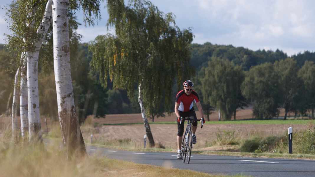 Germany: Lüneburg Heath (PDF and GPS data)