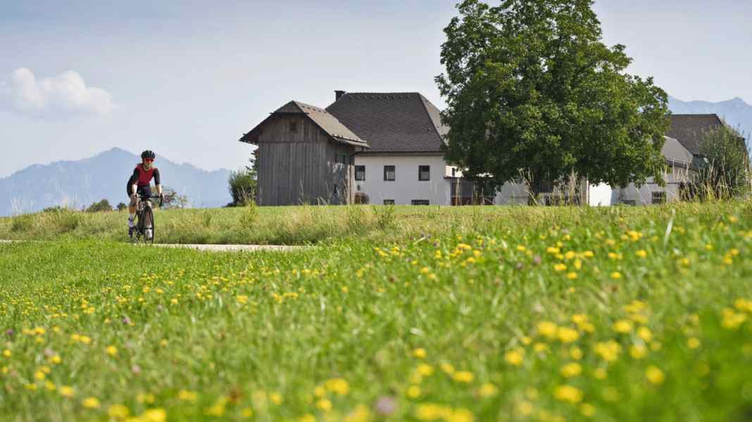 Rennradtouren in Oberösterreich - Tour 4: Von Wels an den Traunsee