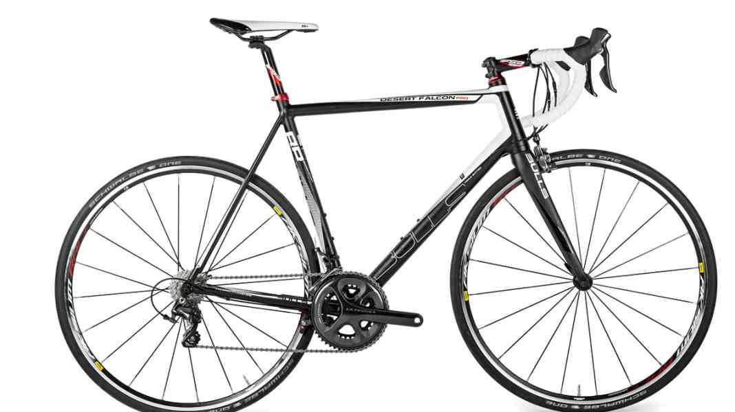 Bulls Desert Falcon Pro