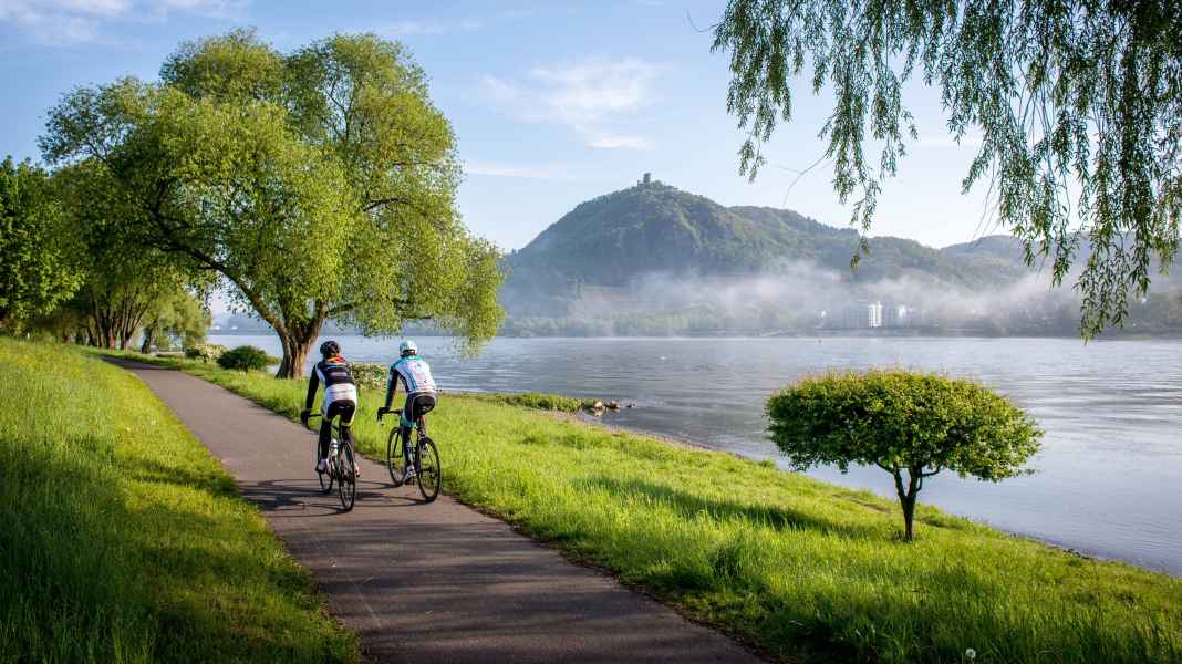 Allemagne : Randonnées à vélo de course en Rhénanie autour de Bonn - Court séjour autour de Bonn : vers l'Ahr et le Siebengebirge