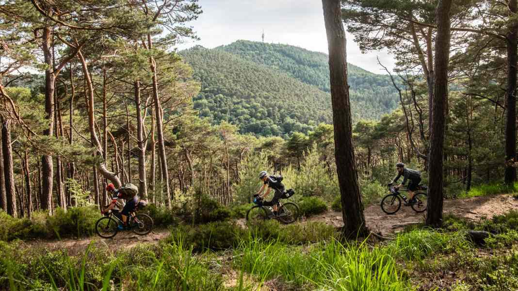 Bikepacking Pfälzerwald : 4 jours en gravelbike dans le Pfälzerwald