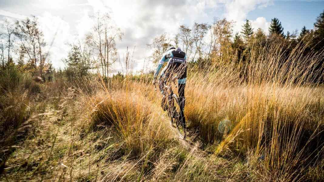 Reise Belgien: Vier Gravelbike-Touren durchs Hohe Venn - Per Gravelbike durchs Hochmoor nahe der deutschen Grenze