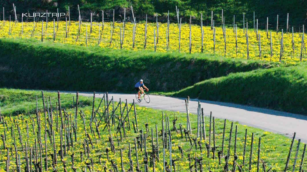 Allemagne : Kaiserstuhl